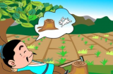 帝王大陆跑路了? 有主播以发声!选服需谨慎! 新服慎重!